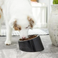 Frisco Stainless Steel Bowl With Elevated Stand 15 Frisco Stainless Steel Bowl With Elevated Stand -Hot Sale Pet Supplies 216020 PT7. AC SS1800 V1605662208