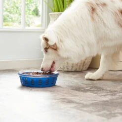 Frisco Chevron Design Glass Bowl With Silicone Sleeve -Hot Sale Pet Supplies 216049 PT7. AC SS1800 V1605664319