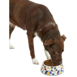 Frisco Colorful Geometric Melamine Bowl -Hot Sale Pet Supplies 216054 PT6. AC SS1800 V1605658026