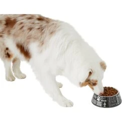 Frisco Doggie Melamine Bowl -Hot Sale Pet Supplies 216062 PT6. AC SS1800 V1605663429