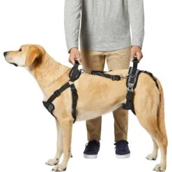 Frisco Front & Rear Lift Handicapped Support Dog Harness -Hot Sale Pet Supplies 220372 PT5. AC SS1800 V1605749597