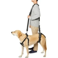 Frisco Front & Rear Lift Handicapped Support Dog Harness -Hot Sale Pet Supplies 220372 PT6. AC SS1800 V1605758261