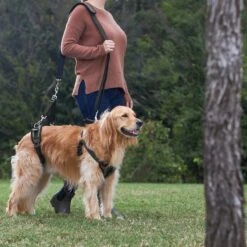 Frisco Front & Rear Lift Handicapped Support Dog Harness -Hot Sale Pet Supplies 220372 PT7. AC SS1800 V1605738439