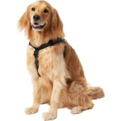Frisco Nylon Step In Back Clip Dog Harness 9 Frisco Nylon Step In Back Clip Dog Harness -Hot Sale Pet Supplies 220519 PT2. AC SS1800 V1605591714