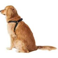 Frisco Nylon Step In Back Clip Dog Harness 10 Frisco Nylon Step In Back Clip Dog Harness -Hot Sale Pet Supplies 220519 PT3. AC SS1800 V1605593555