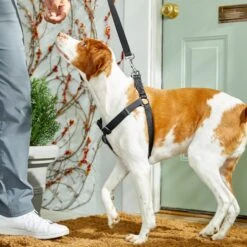 Frisco Nylon Step In Back Clip Dog Harness 11 Frisco Nylon Step In Back Clip Dog Harness -Hot Sale Pet Supplies 220519 PT4. AC SS1800 V1605582116