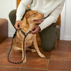 Frisco Reflective Rope Slip Lead Dog Leash -Hot Sale Pet Supplies 221212 PT4. AC SS1800 V1699388234