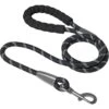 Frisco Rope Dog Leash With Padded Handle -Hot Sale Pet Supplies 221218 MAIN. AC SS1800 V1701796765