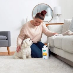 Frisco Stain & Odor Remover Wipes, 70 Count -Hot Sale Pet Supplies 222149 PT1. AC SS1800 V1602837983