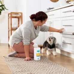 Frisco Vinegar Cleaning Wipes, 70 Count -Hot Sale Pet Supplies 222151 PT4. AC SS1800 V1602847932