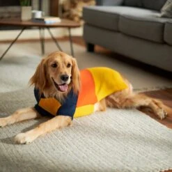 Frisco Colorblock Dog & Cat Turtleneck Sweater With Sleeves -Hot Sale Pet Supplies 223819 PT7. AC SS1800 V1599922008