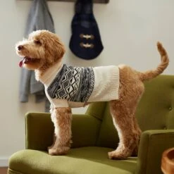 Frisco Black & Cream Turtleneck Sweater -Hot Sale Pet Supplies 223850 PT8. AC SS1800 V1608826094