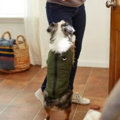 Frisco Lightweight Insulated Bomber Dog & Cat Jacket -Hot Sale Pet Supplies 223914 PT8. AC SS1800 V1608826097