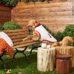 Frisco Quilted Water-Resistant Reversible Insulated Dog & Cat Jacket 15 Frisco Quilted Water-Resistant Reversible Insulated Dog & Cat Jacket -Hot Sale Pet Supplies 223922 PT7. AC SS1800 V1601579158