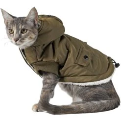 Frisco Mid-Heavyweight Love Insulated Dog & Cat Coat -Hot Sale Pet Supplies 224034 PT2. AC SS1800 V1599498998
