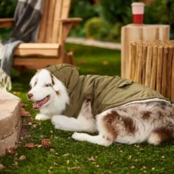 Frisco Mid-Heavyweight Love Insulated Dog & Cat Coat -Hot Sale Pet Supplies 224034 PT7. AC SS1800 V1601578266