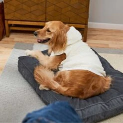 Frisco Plush Fur Dog & Cat Hoodie -Hot Sale Pet Supplies 224209 PT7. AC SS1800 V1637685435