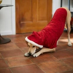 Frisco Textured Knit Dog & Cat Hoodie -Hot Sale Pet Supplies 224233 PT7. AC SS1800 V1601578309