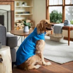 Frisco Ultra Lightweight Basic Dog & Cat Fleece Vest 15 Frisco Ultra Lightweight Basic Dog & Cat Fleece Vest -Hot Sale Pet Supplies 224316 PT7. AC SS1800 V1599924439