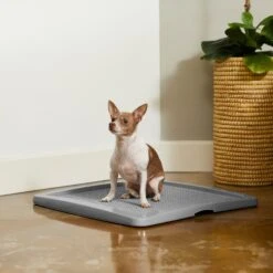 Frisco Training Pad Holder 12 Frisco Training Pad Holder -Hot Sale Pet Supplies 227474 PT6. AC SS1800 V1604701643