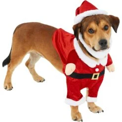 Frisco Front Walking Santa Dog & Cat Costume, 1 Count -Hot Sale Pet Supplies 228785 PT3. AC SS1800 V1631300866