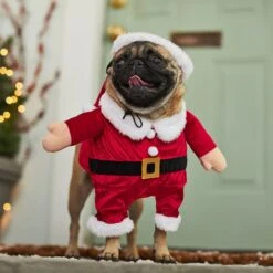 Frisco Front Walking Santa Dog & Cat Costume, 1 Count -Hot Sale Pet Supplies 228785 PT7. AC SS1800 V1601560869