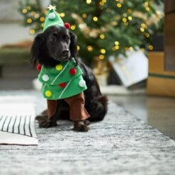 Frisco Front Walking Christmas Tree Dog & Cat Costume 14 Frisco Front Walking Christmas Tree Dog & Cat Costume -Hot Sale Pet Supplies 229164 PT7. AC SS1800 V1601385981