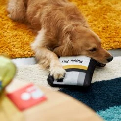 Frisco Retro Floppy Disc Ballistic Nylon Plush Squeaky Dog Toy -Hot Sale Pet Supplies 230304 PT3. AC SS1800 V1602639753