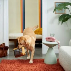 Frisco Retro Television Ballistic Nylon Plush Squeaky Dog Toy -Hot Sale Pet Supplies 230308 PT3. AC SS1800 V1601947325