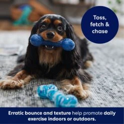Frisco Retro Denim & Swirl TPR Bone Squeaky Dog Toy 12 Frisco Retro Denim & Swirl TPR Bone Squeaky Dog Toy -Hot Sale Pet Supplies 230341 PT4. AC SS1800 V1695748896
