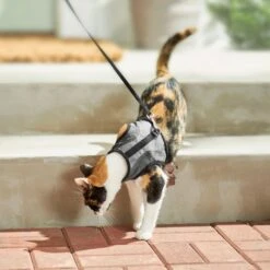 Frisco Wrap Cat Harness -Hot Sale Pet Supplies 230691 PT5. AC SS1800 V1601096758