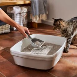 Frisco Lightweight Unscented Clumping Cat Litter -Hot Sale Pet Supplies 230716 PT4. AC SS1800 V1659023918
