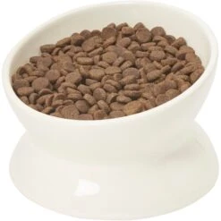 Frisco Double-Sided Ceramic Elevated Cat Bowl -Hot Sale Pet Supplies 232081 PT6. AC SS1800 V1684760471