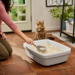 Frisco Tofu Clumping Cat Litter -Hot Sale Pet Supplies 232117 PT4. AC SS1800 V1659546420