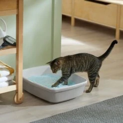 Frisco Micro Crystal Unscented Non-Clumping Crystal Cat Litter -Hot Sale Pet Supplies 232121 PT4. AC SS1800 V1659546416