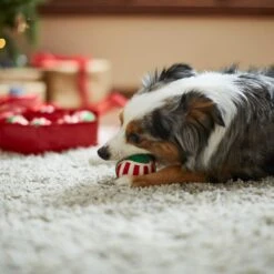 Frisco Holiday Wreath Fetch Squeaky Tennis Ball Dog Toy -Hot Sale Pet Supplies 233189 PT3. AC SS1800 V1665759769