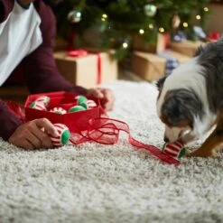 Frisco Holiday Wreath Fetch Squeaky Tennis Ball Dog Toy -Hot Sale Pet Supplies 233189 PT5. AC SS1800 V1601919657