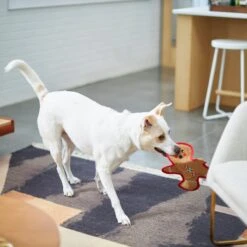 Frisco Holiday Gingerbread Man Flat Plush Squeaky Dog Toy -Hot Sale Pet Supplies 233241 PT2. AC SS1800 V1601311903