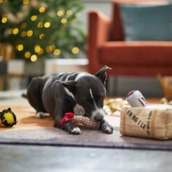 Frisco Holiday Fragile Box Hide & Seek Puzzle Plush Squeaky Dog Toy 13 Frisco Holiday Fragile Box Hide & Seek Puzzle Plush Squeaky Dog Toy -Hot Sale Pet Supplies 233274 PT4. AC SS1800 V1665759767