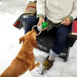 Frisco Holiday Christmas Light Rope With TPR Squeaky Dog Toy -Hot Sale Pet Supplies 233278 PT2. AC SS1800 V1601641574