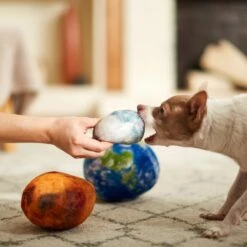 Frisco Earth, Mars, And Moon Plush Squeaky Dog Toy -Hot Sale Pet Supplies 233587 PT3. AC SS1800 V1600973771