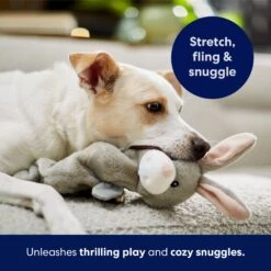 Frisco Bunny Bungee Plush Squeaky Dog Toy -Hot Sale Pet Supplies 233612 PT5. AC SS1800 V1691783971