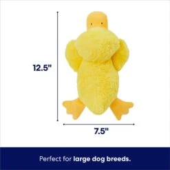 Frisco Duck Plush Squeaky Dog Toy -Hot Sale Pet Supplies 233613 PT1. AC SS1800 V1695671062