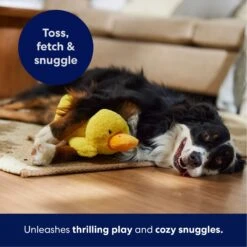 Frisco Duck Plush Squeaky Dog Toy -Hot Sale Pet Supplies 233613 PT4. AC SS1800 V1695670688