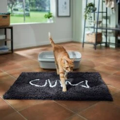 Frisco Microfiber Chenille Fish Bone Litter Mat -Hot Sale Pet Supplies 236242 PT3. AC SS1800 V1676556249