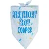 Frisco Birthday Boy Personalized Dog & Cat Bandana -Hot Sale Pet Supplies 238329 MAIN. AC SS1800 V1597896415