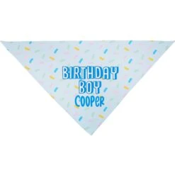 Frisco Birthday Boy Personalized Dog & Cat Bandana -Hot Sale Pet Supplies 238329 PT3. AC SS1800 V1618511828