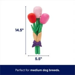 Frisco Valentine Rose Bouquet Plush Squeaky Dog Toy 7 Frisco Valentine Rose Bouquet Plush Squeaky Dog Toy -Hot Sale Pet Supplies 241733 PT1. AC SS1800 V1701365129