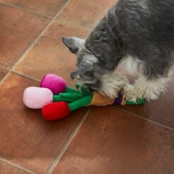 Frisco Valentine Rose Bouquet Plush Squeaky Dog Toy 8 Frisco Valentine Rose Bouquet Plush Squeaky Dog Toy -Hot Sale Pet Supplies 241733 PT6. AC SS1800 V1607990908