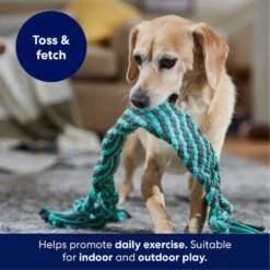 Frisco Flat Teal & Gray Braided Rope Squeaky Fetch Dog Toy -Hot Sale Pet Supplies 242127 PT3. AC SS1800 V1695242179